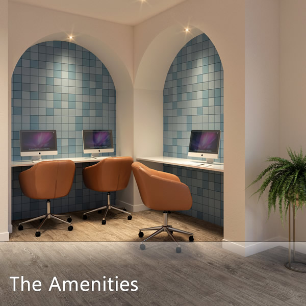 Features & Amenities